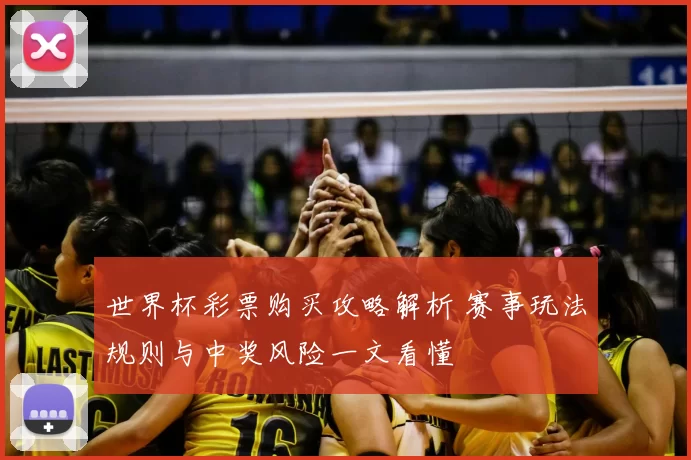世界杯彩票购买攻略解析 赛事玩法规则与中奖风险一文看懂