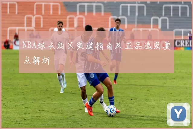 NBA球衣购买渠道指南及正品选购要点解析