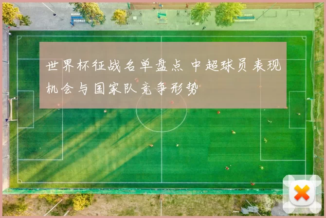 世界杯征战名单盘点 中超球员表现机会与国家队竞争形势