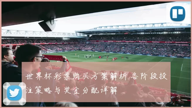 世界杯彩票购买方案解析 各阶段投注策略与奖金分配详解