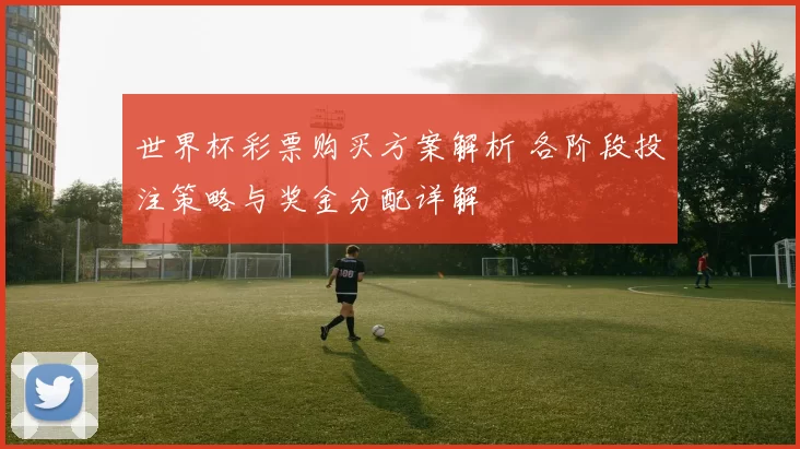 世界杯彩票购买方案解析 各阶段投注策略与奖金分配详解